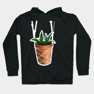 Aloe Plant Hoodie